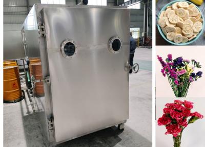 China Efficient Food Vacuum Freeze Dryer Machine With Leybold System for sale