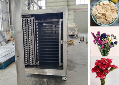 China 100Kg 200Kg Alimentos industriales hortalizas secador de congelación máquina de congelación Equipo versátil en venta
