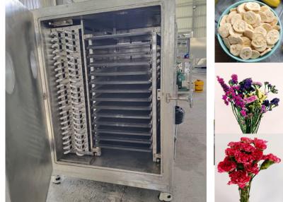 China 18-22 horas/partido Secador por congelación automático de verduras Secador por congelación de grado profesional en venta
