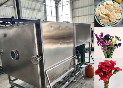 China Custom Vegetable Freeze Dryer With Automatic Operation Mode for sale