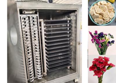 China Máquina de secado por congelación industrial con vacío para retención de maxi nutrientes en venta