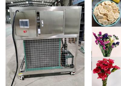 China Custom Industrial Vegetable Freeze Dryer Compact With Vacuum Limit ≤13Pa for sale