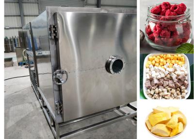 China Industrial Food Vacuum Food Freeze Dryer Machine 100Kg 200Kg for sale
