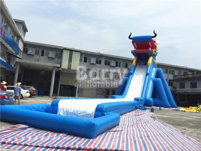 China Adult Inflatable Water Slide for sale