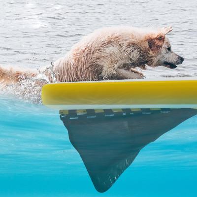 中国 Extra Large Inflatable Water Ramp For Boat,Dog Pool Inflatable Light Dog Ramp Soft Ladder For Dogs, Rung Platform 販売のため