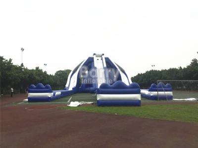 China Giant Inflatable Slide for sale
