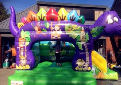 China Kids Inflatable Bouncer Cartoon Jumping Castle Kid Fun / Inflatable Castle for sale