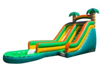 China Green Palm Tree Inflatable Water Slides / Inflatable Backyard Water Slide for sale