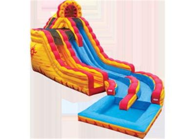 China Customized Giant Inflatable Water Slides , Blow Up Water Slide For Adults for sale