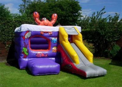 China Grassland Inflatable Bouncer , PVC Material Small Slide Bouncer For Kids for sale