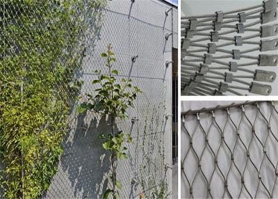 China 3m Height 7 × 7 Wire Rope Mesh Climbing Plants Diamond Green Facade Cable System for sale