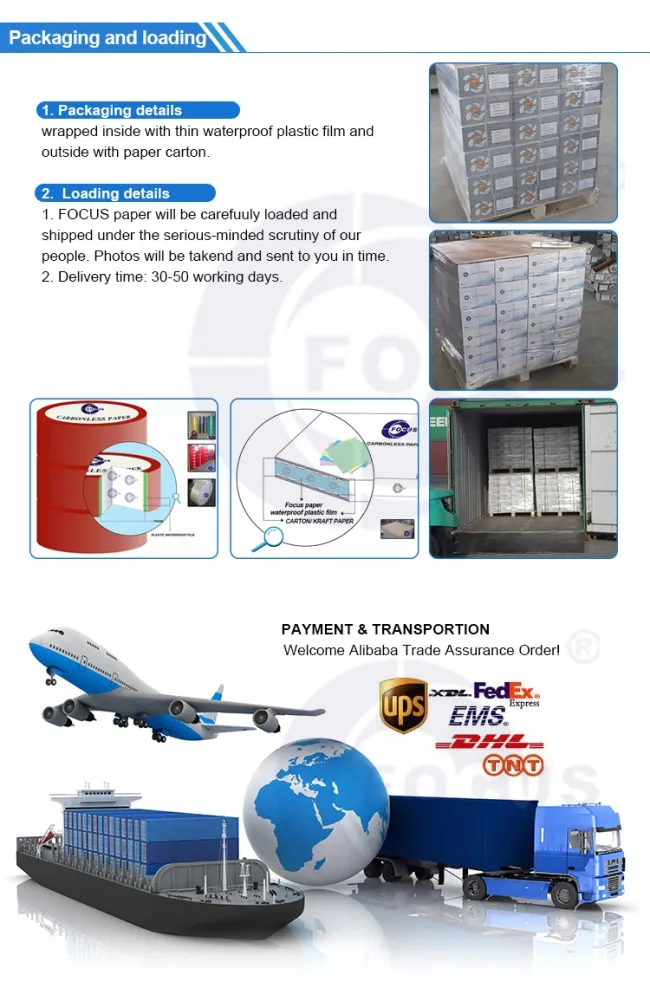 Focus Brand Manufacturer& Supplier Top-Level Glassin Paper