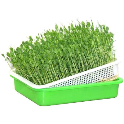 China Polystyrene Heat Preservation Plastic Sprouting Trays Hydroponic Plant Trays for sale