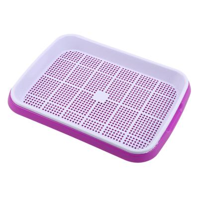China Multicolor Breathable Hydroponic Seedling Tray 31cm Length Recyclable for sale