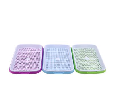 China 11cm High Plastic Water Growing Seed Sprout Tray Biodegradable for sale