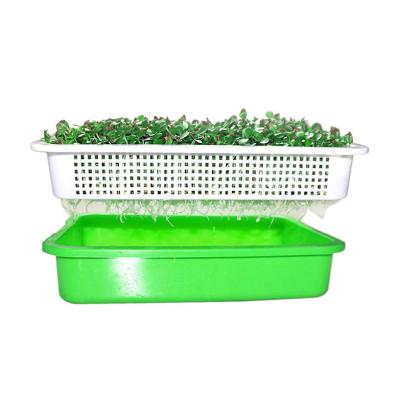 China Corrosion Proof Commercial Seed Sprout Tray 4.3 Inch High Different Size for sale