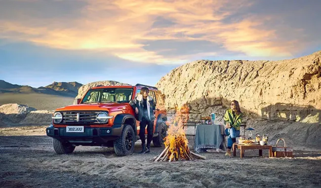All Terrain Comfortable off-Road Vehicles in China Tank 300 Used Cars at a Low Price Hot Sell