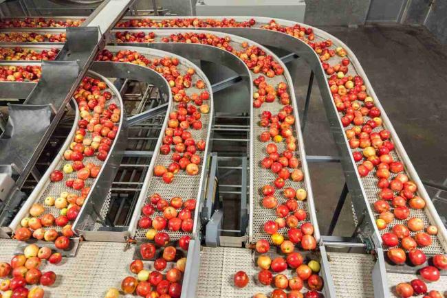 Food processing application
