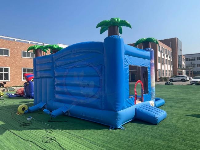 Custom Inflatable Bouncer Combo With Slide And Pool