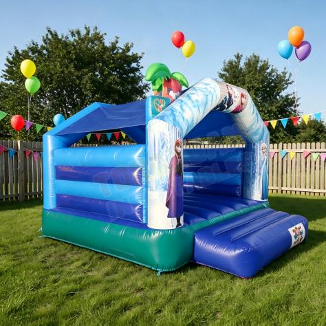 Custom Themed Inflatable Bounce House for Kids Parties