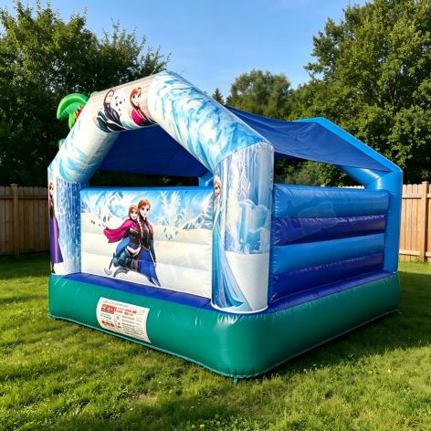 Custom Themed Inflatable Bounce House for Kids Parties