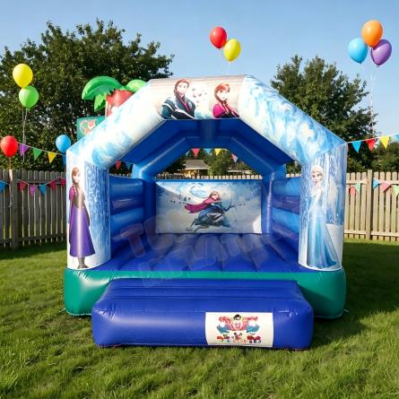 Custom Themed Inflatable Bounce House for Kids Parties