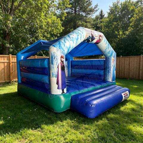 Custom Themed Inflatable Bounce House for Kids Parties