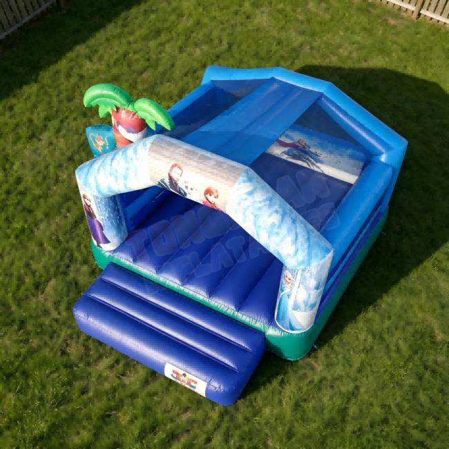 Custom Themed Inflatable Bounce House for Kids Parties