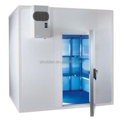 China New Design Walk In Cooler Room Combo Frozen Meat Seafood Beef Chicken Shocking Walk in Freezer Cold Room for sale