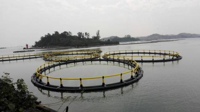 environmental Friendly Floating Cage System for Fish Farming Cage