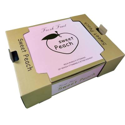 Chine Insertion de carton de mousse de Tray Gift Pack Foldable With de fruit de carton de pêche à vendre
