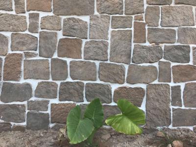 Chine le GV de 14mm a cultivé la brique de pierre décorative pour l'aménagement de mur de jardin à vendre