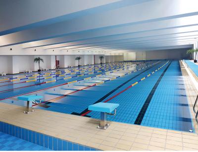 China S003 Lane 24kg/Carton Ceramic Decking Tiles Swimming Pool , 115x240mm Glazed Edge Tile for sale