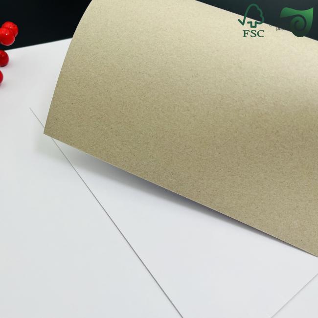 Close-up view of duplex board texture and coating quality