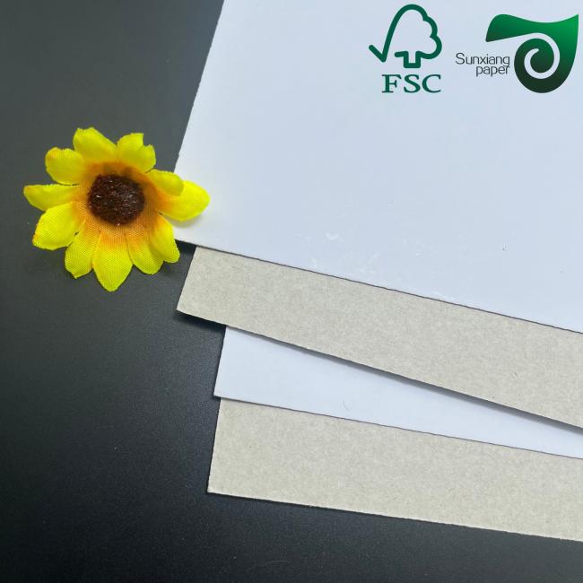 FSC Certified Hard Fold Duplex Board sample showing grey back surface