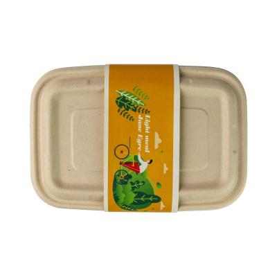China Rectangular Disposable Surgance Pulp Food Container Biodegradable Container for sale