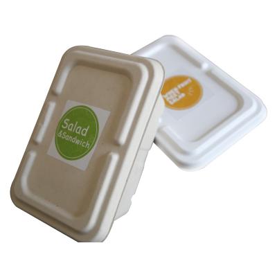 China Recycled Compostable Sugarcane Bagasse Food Container Disposable Plant Pulp for sale