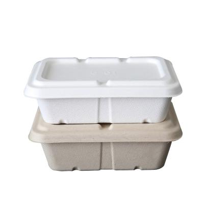 China Factory 100% Biodegradable Compostable Bagasse Pulp Packaging Food Container for sale