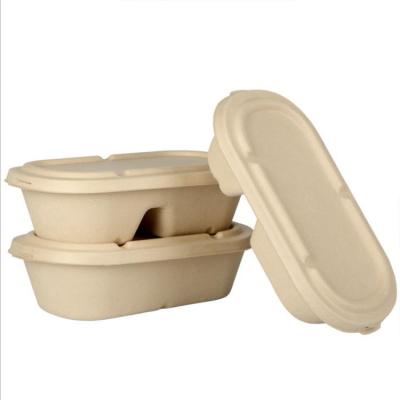 China Trigo descartável biodegradável Straw Lunch Box Compostable de 100% à venda