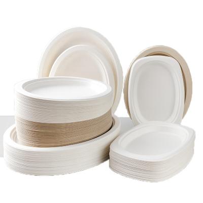 China Natural Bagasse Disposable Plates Sugarcane Fibre Round Plate 6 7 8 9 10 Inch for sale