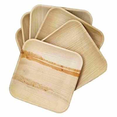 China Organic Compostable Palm Leaf Disposable Plates For Wedding Party for sale