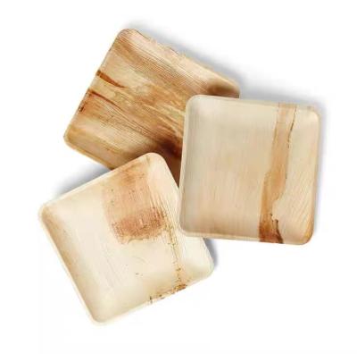 China Disposable Biodegradable 6 8 10 Palm Leaf Square Plates for sale