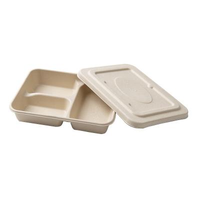 China Cornstarch Lunch Compartment Food Container Biodegradable Disposable for sale