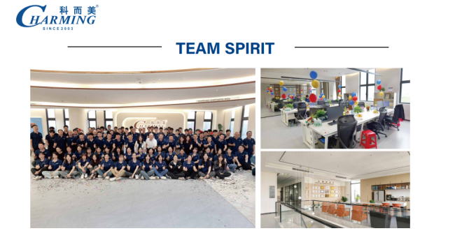 Professional team dedicated to LED display manufacturing and support