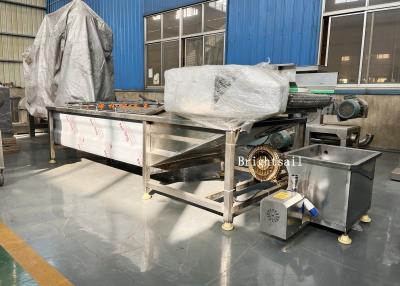 China Legumbre de fruta de la industria alimentaria Chili Air Bubble Washing Machine en venta
