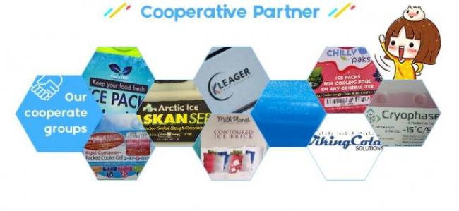 Custom Logo Large Cold Gel Pack Reusable For Food Frozen , CPSIA Listed 4