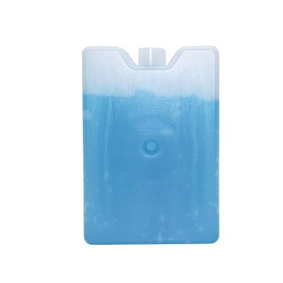 China Small Portable Plastic Ice Packs Hard Gel Cooler Box for Picnic Bag for sale