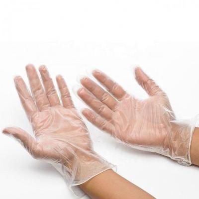 China Powder Free Disposable Vinyl Gloves For Foodservice Handling Transparent  1000PCs/CTN for sale