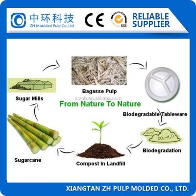 China Molding Biodegradable Pulp Packaging Machine 440V Bagasse Plate Making for sale