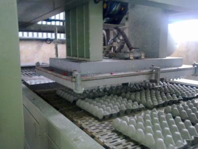 China Small Scale Pulp Packaging Machine for sale